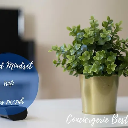 ✰ Good Mindset -4 Pers - Wifi- Boite A Clef ✰ Lägenhet Troyes